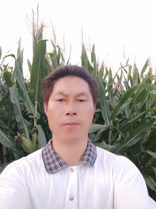 四海游龙的第二张照片--湖北残疾人相亲网